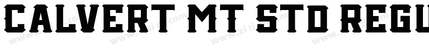 Calvert MT Std Regul字体转换